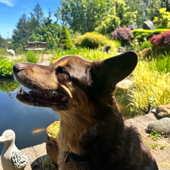 Meet your Posher, Cynthia - Picture 1 of 1